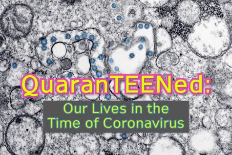 In response to the unprecedented closure of West Essex and all New Jersey schools in the face of the coronavirus pandemic, 24 of the Wires staffers chose to vlog about their experience one week into self-imposed quarantine.