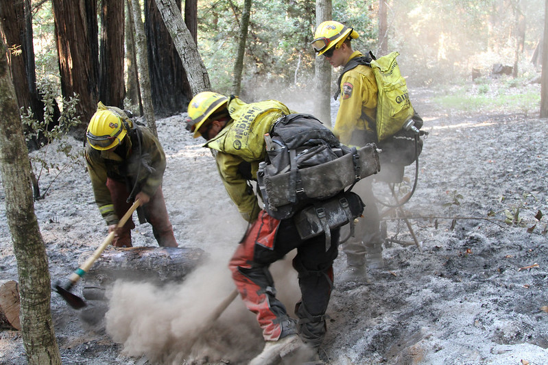  Members of the California Army National Guard put out a fire Sept. 1, near Scott’s Valley, California. Weeks of wildfires have burned more than 3.6 million acres of land in California alone since the beginning of the year, according to the California Daily Wildfire Report by CalFire.