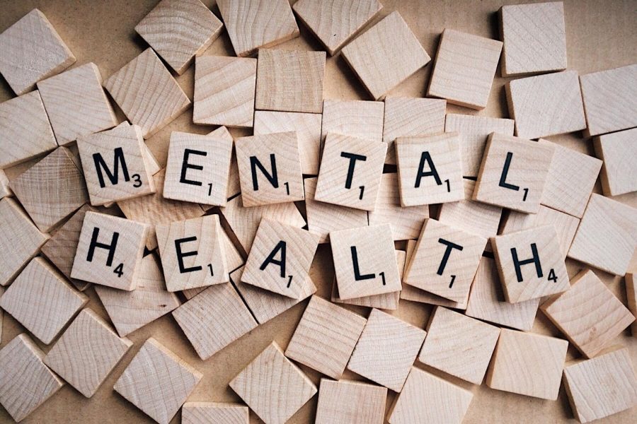 A lot of students struggle with mental health issues and have a hard time dealing with their mind and schoolwork. 