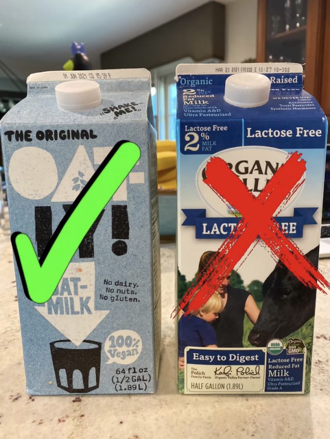 Oat milk over any other milk, especially cows milk, any day.