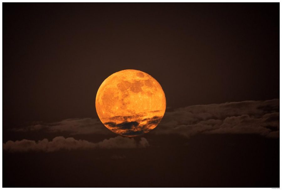 The Super Pink Moon, visible April 26 and 27, was the biggest astronomical happening amid of sea of night sky activity in April. It started at moonrise April 26 and stayed throughout the remainder of April 27. (Supermoon of April 27 by Dominique Dierick (CC BY-NC 2.0))