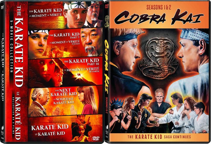 The Karate Kid franchise continues to dominate the entertainment industry in Cobra Kai which has just wrapped up its fourth season. 