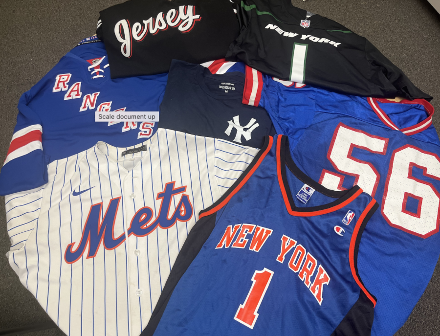 New Jersey and New York sports teams are having exciting seasons across all sports. 