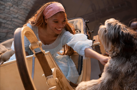 Halle Bailey shines as Ariel in the live action “Little Mermaid” movie.